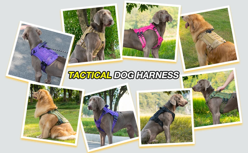 Harnais chien | Tactique et renforcé
