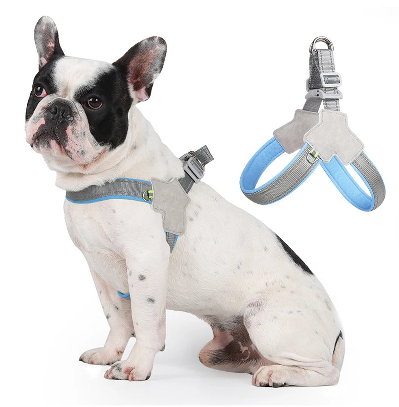 Harnais chien | extensible et réfléchissant