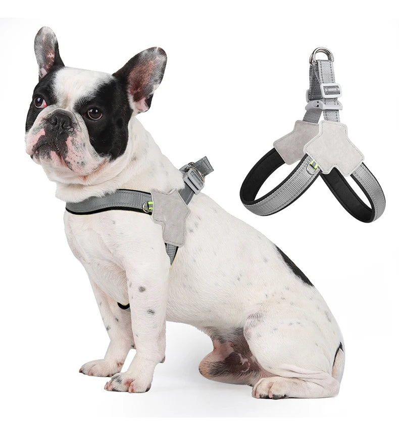 Harnais chien | extensible et réfléchissant