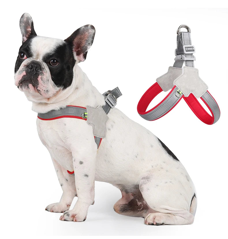 Harnais chien | extensible et réfléchissant