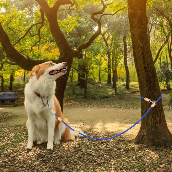 laisse pour chien attacher arbre