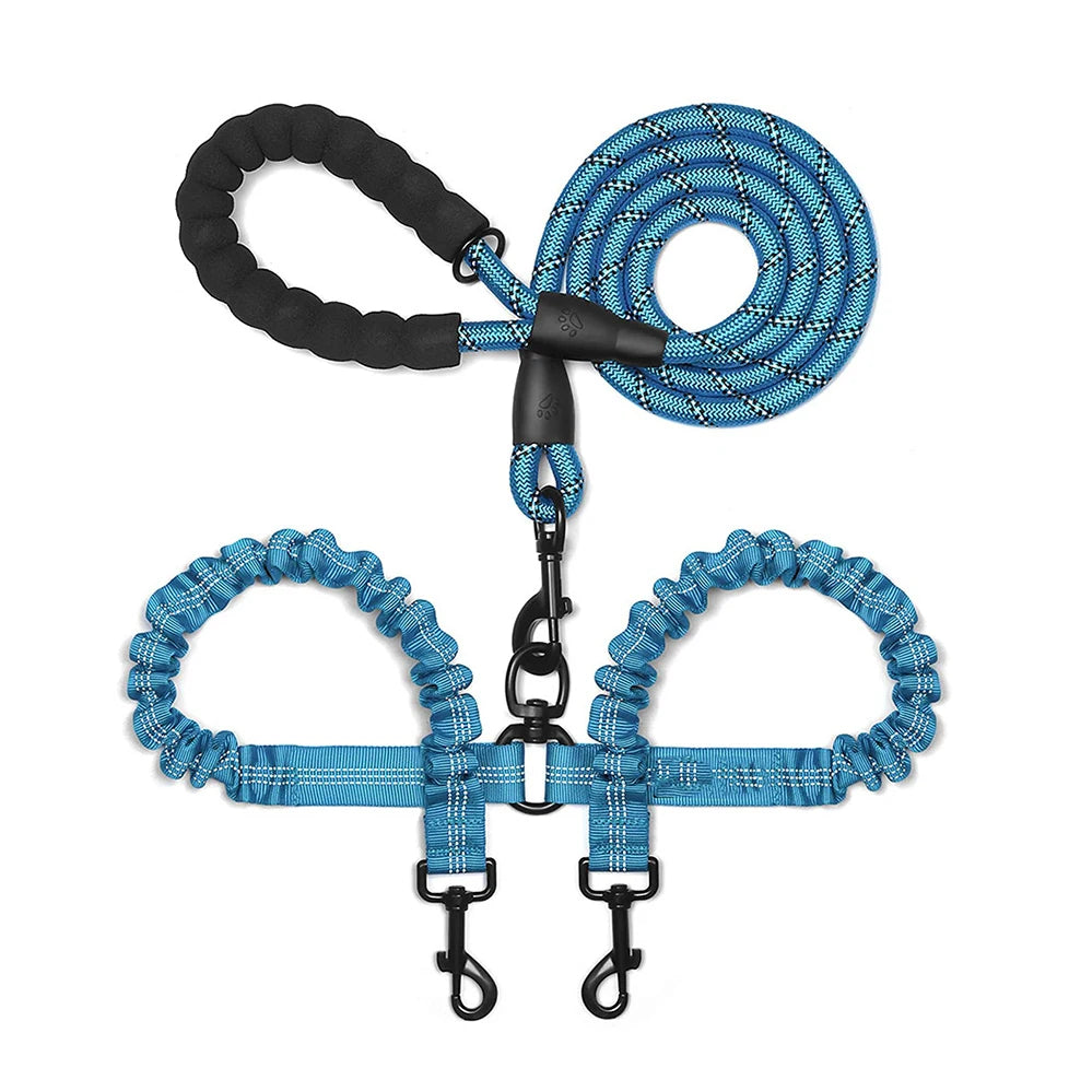 Laisse pour chien double | Bungee résistante