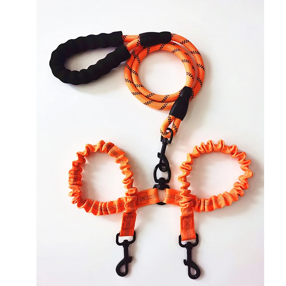 Laisse pour chien double | Bungee résistante