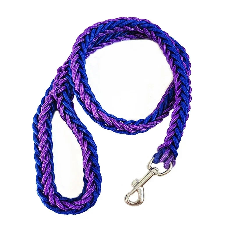 Laisse pour chien Montagnard bleu