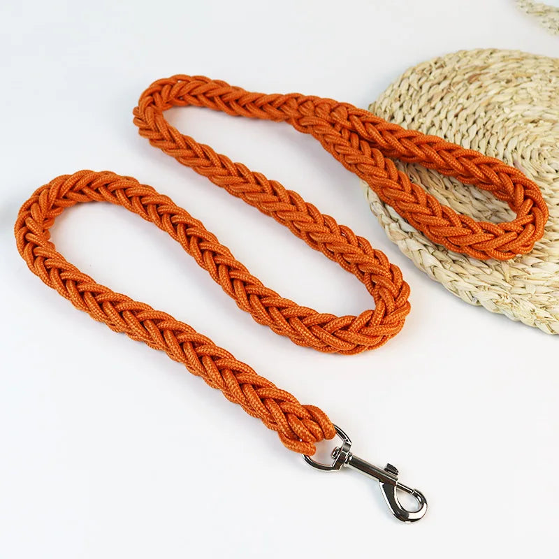 Laisse pour chien | Montagnard (couleur unie)