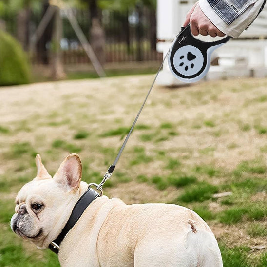 laisse pour chien noir face gauche