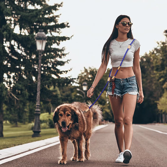 laisse pour chien tenu epaule