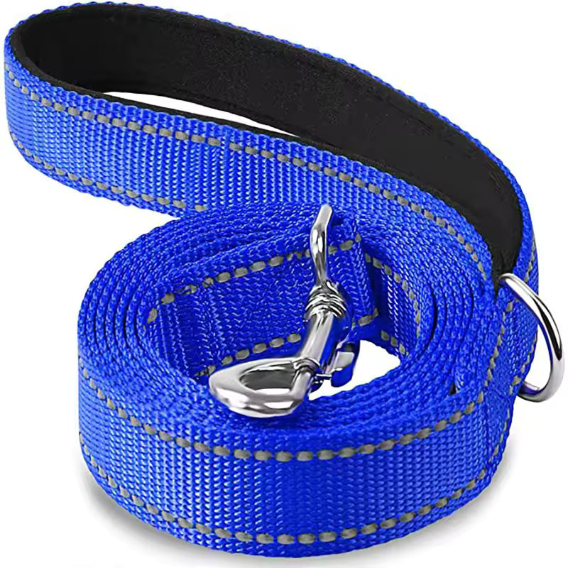 Laisse réfléchissante résistante modèle bleu