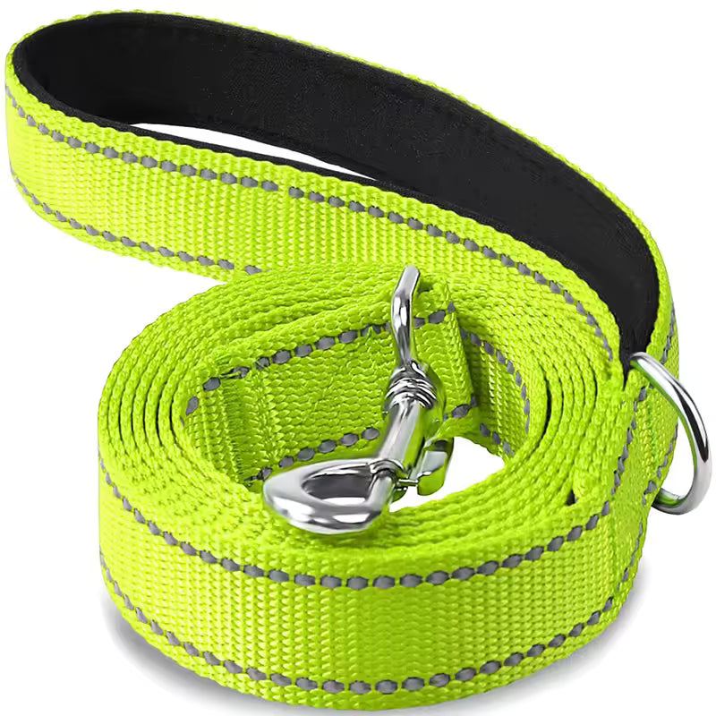 Laisse pour chien | Réfléchissante et résistante (couleurs pâles)