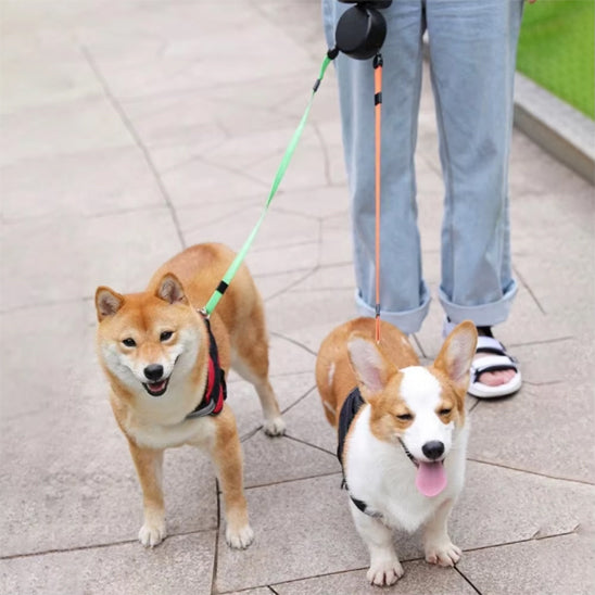 Laisse pour chien double | Enroleur avec lampe