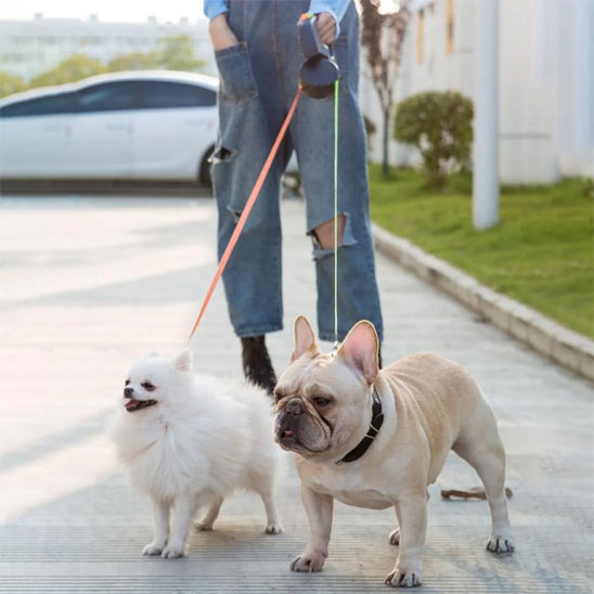 Laisse pour chien double | Enroleur avec lampe