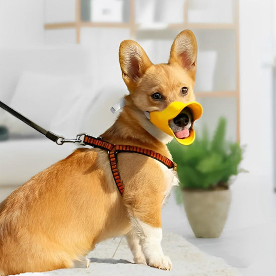 Muselière pour chien | modèle bec de canard