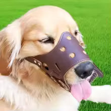 Museliere chien | Cuir et souple
