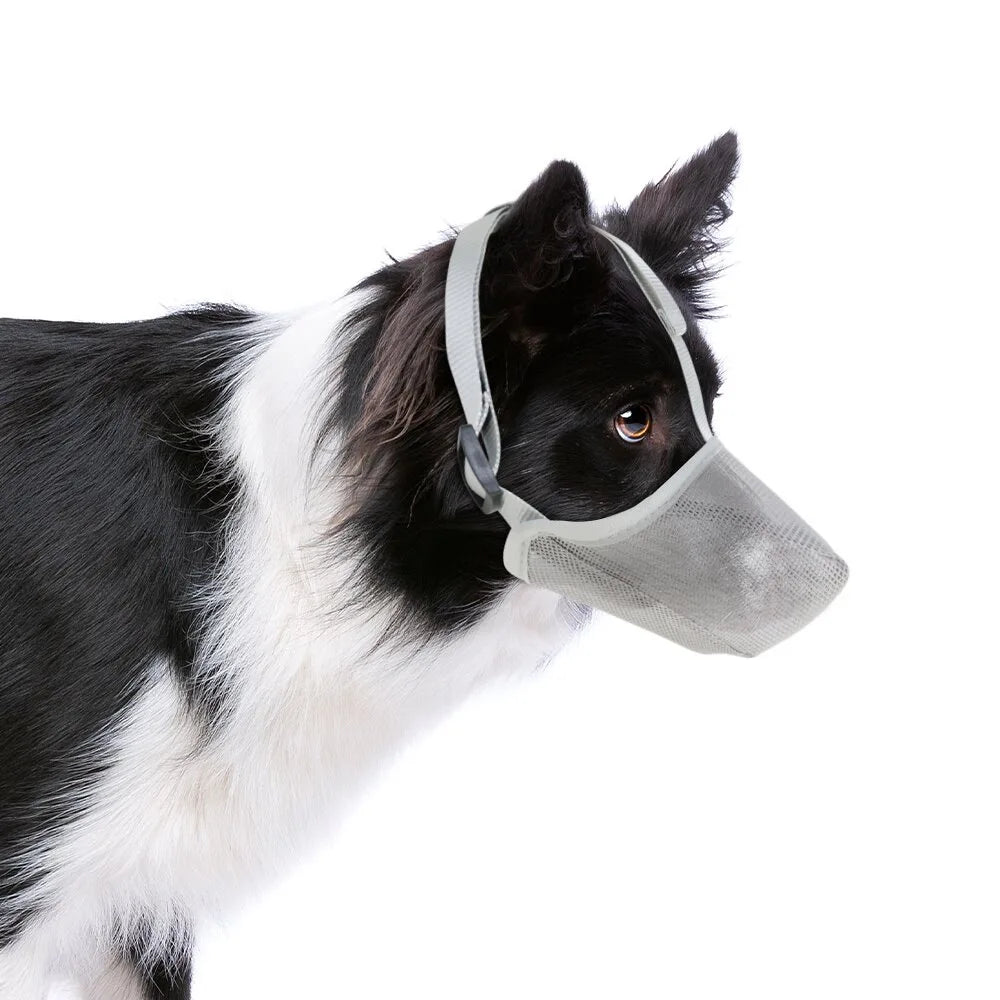 Museliere pour chien | Mailles douces et durables
