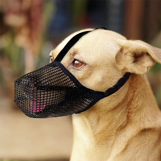 Museliere pour chien | Mailles douces et durables