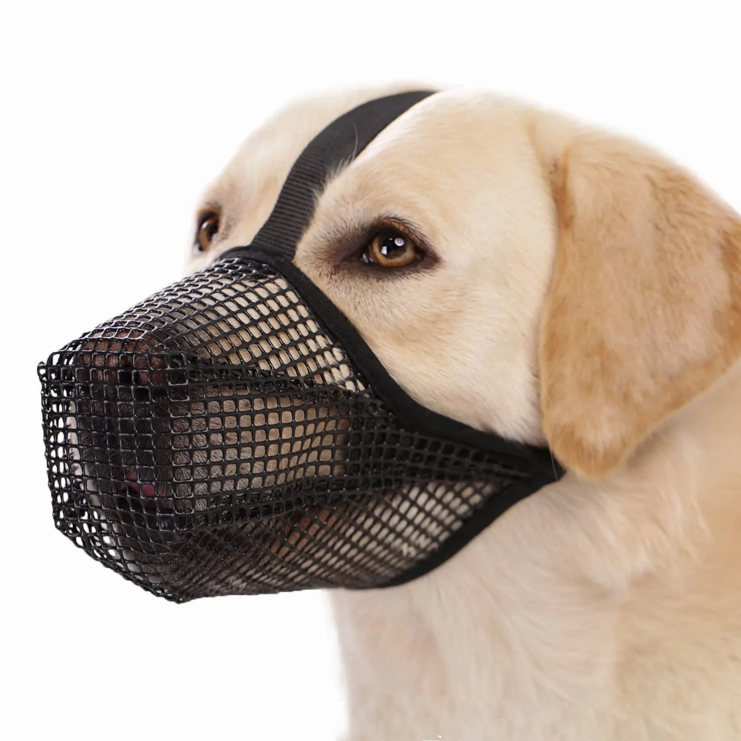 Museliere pour chien | Mailles douces et durables
