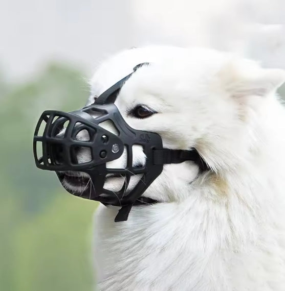 muselière résistante anti-casse chien blanc