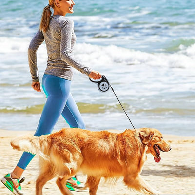 Laisse pour chien golden plage