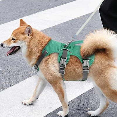 Harnais chien akita vert