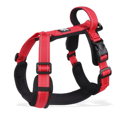 Harnais chien | Ergonomique et pratique