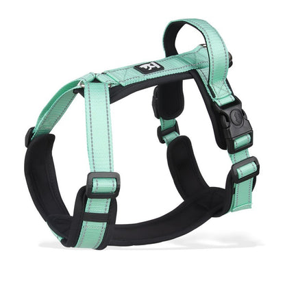 Harnais chien | Ergonomique et pratique