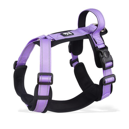 Harnais chien | Ergonomique et pratique