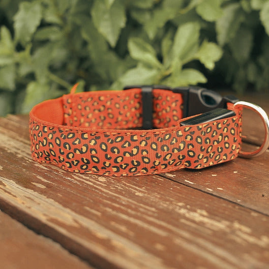Collier lumineux pour chien | Motif léopard foncé