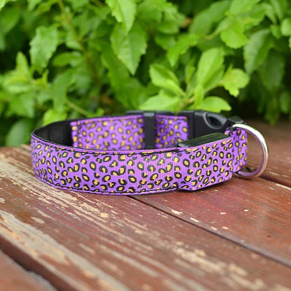 Collier lumineux pour chien | Motif léopard foncé