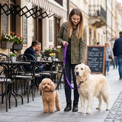 Accouple chien | Sangle élastique