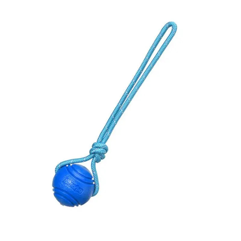 Balle chien cordage poignée bleu