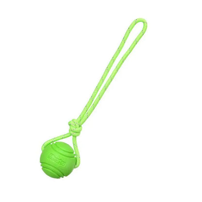 Balle chien cordage poignée vert
