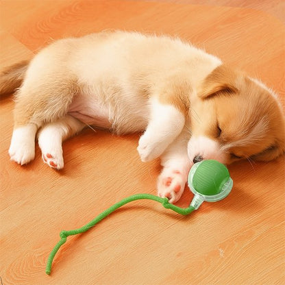 Balle chien électrique rechargeable chiot endormi vert
