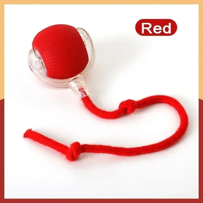 Balle chien électrique rechargeable rouge