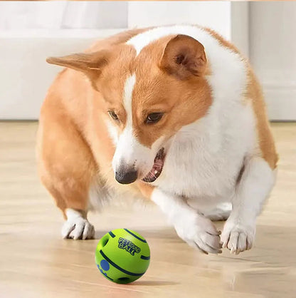Balle pour chien attention sonore corgi salon