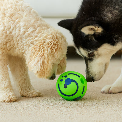 Balle pour chien attention sonore deux chiens
