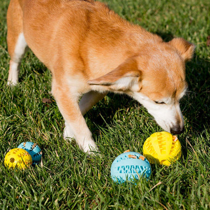 Balle pour chien élastique silicone gazon jaune bleu