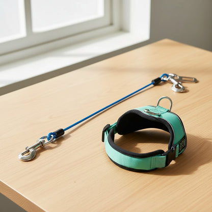 Ceinture sécurité pour chien voyage sécurisé bleu démo