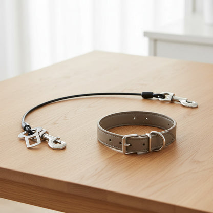 Ceinture sécurité pour chien voyage sécurisé noir démo