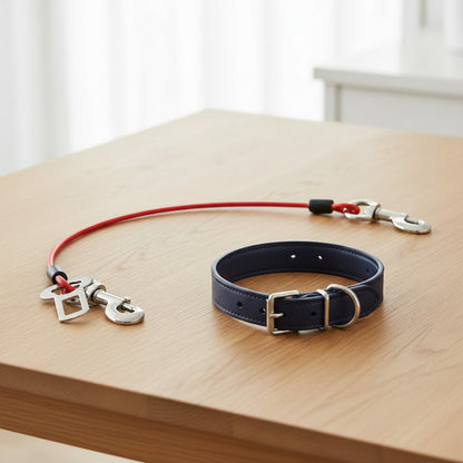 Ceinture sécurité pour chien voyage sécurisé rouge démo