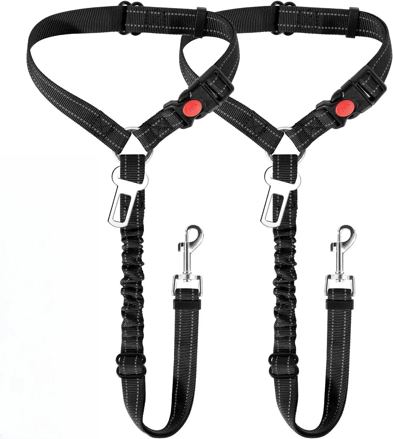 Ceinture de sécurité pour chien | Laisse de retenue - Chien globe - trotteur