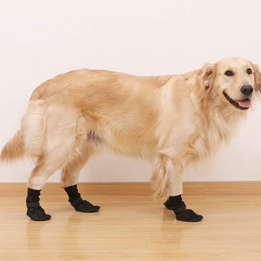 Chaussette pour chien | Anti-fuite et adhérante