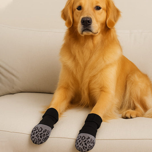 Chaussettes pour chien motif tacheté golden assis