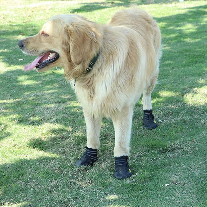 Chaussure chien | Imperméable et réfléchissante (grandes tailles)