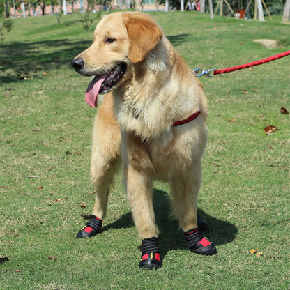 Chaussure chien | imperméable et réfléchissant (petites tailles)
