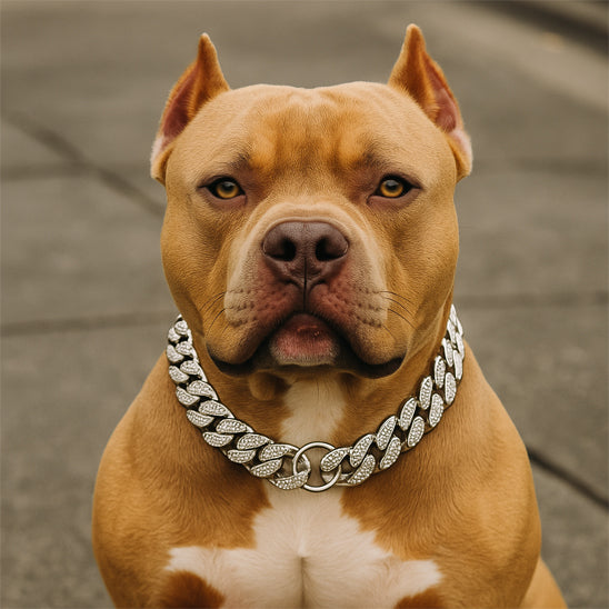 Collier chien | chaine en plastique ABS résistante
