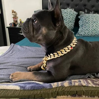 Collier chien | chaine en plastique ABS résistante