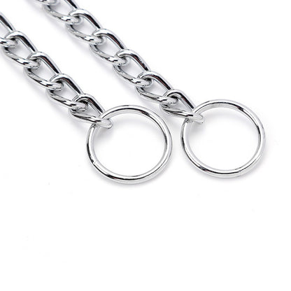 Collier chien | chaine antidérapante