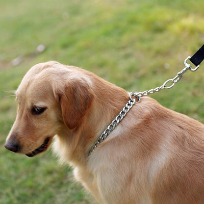 Collier chien | chaine antidérapante