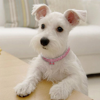 Collier chien | Chic et brillant