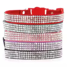 Collier chien | Chic couleurs unis